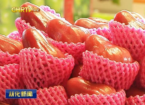 京東中國特產·從化館盛大開幕，優質農副產品添新銷售渠道