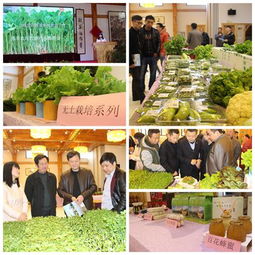 強豐生態農莊春季農副產品推介會圓滿舉行