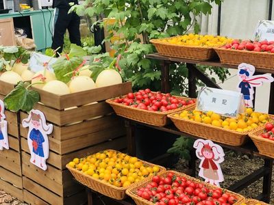 品蔬果、釣龍蝦…玩轉四季嘉年華 桐鄉鄉村振興的田園交響曲