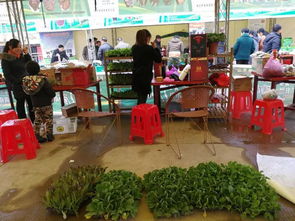 兩祁農(nóng)副特產(chǎn)展銷會(huì)今日開幕，五十余家企業(yè)攜名優(yōu)土特產(chǎn)齊聚一堂