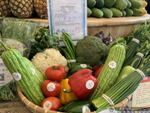 上林扶貧農(nóng)副產(chǎn)品展銷中心在南寧揭牌 架起產(chǎn)銷橋梁，助力鄉(xiāng)村振興