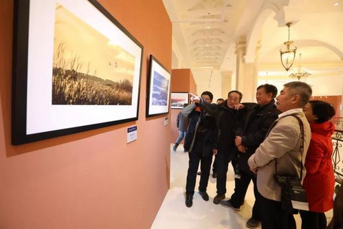 倪萍老師與您相約天鵝湖 文化藝術(shù)交流活動(dòng)策劃